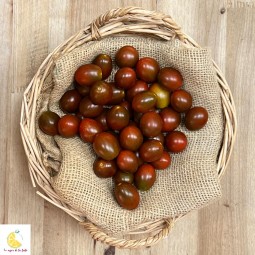 Tomates Cherry Chocolate - Selección de Tomates -1- Lo mejor de la fruta