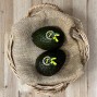 Aguacates Nacionales - Fruta de Temporada -1- Lo mejor de la fruta