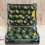 Aguacates Nacionales - Fruta de Temporada -2- Lo mejor de la fruta