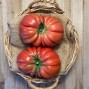 Tomate Rosado - Selección de Tomates -2- Lo mejor de la fruta