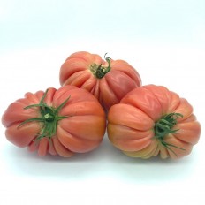 Tomate Rosado - Selección de Tomates -4- Lo mejor de la fruta