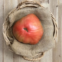 Tomates Rosados - Selección de Tomates -1- Lo mejor de la fruta