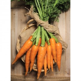 Zanahorias De Rama - Verduras -1- Lo mejor de la fruta