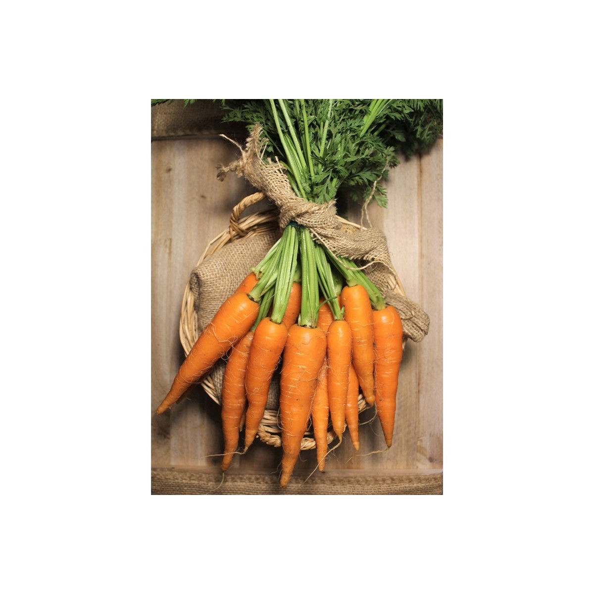 Zanahorias De Rama - - Verduras -1- Lo mejor de la fruta