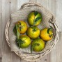 Mandarinas cultifort - Fruta de Temporada -1- Lo mejor de la fruta