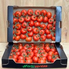Tomate de Rama - Selección de tomates -4- Lo mejor de la fruta