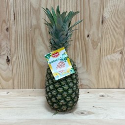 Piñas del Monte - Tropicales -1- Lo mejor de la fruta