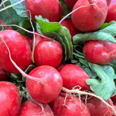 Rábanos - Verduras -3- Lo mejor de la fruta