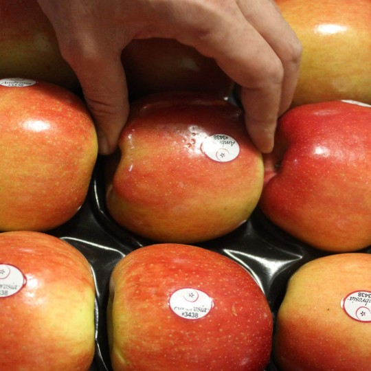 Manzanas Ambrosía - Manzanas, Peras y Plátanos. -2- Lo mejor de la fruta