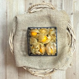 Physhalis - Tropicales -1- Lo mejor de la fruta