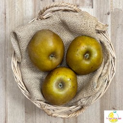 Manzanas Reineta - Manzanas, Peras y Plátanos. -1- Lo mejor de la fruta