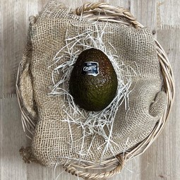 Aguacates Copalma - Tropicales -2- Lo mejor de la fruta