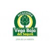 Alcachofa de la Vega Baja